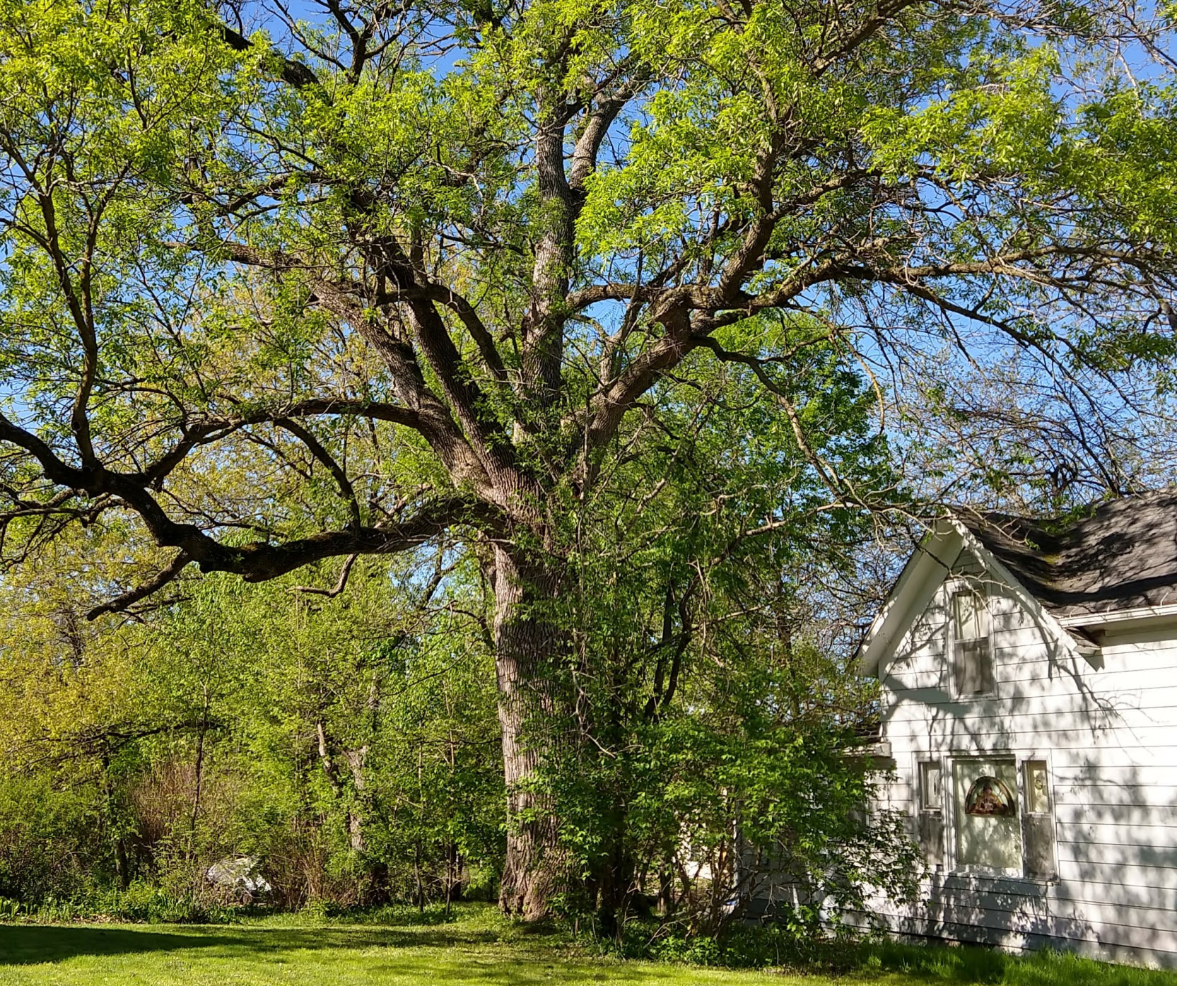 Ash, Aldo Leopold 406 E Adams